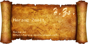 Herzog Zsolt névjegykártya